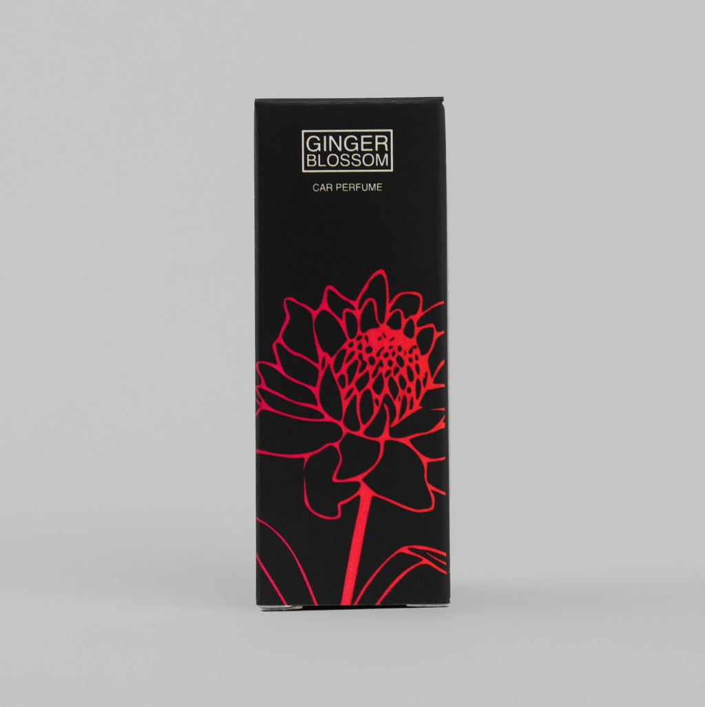 Parfum auto Pro Clean