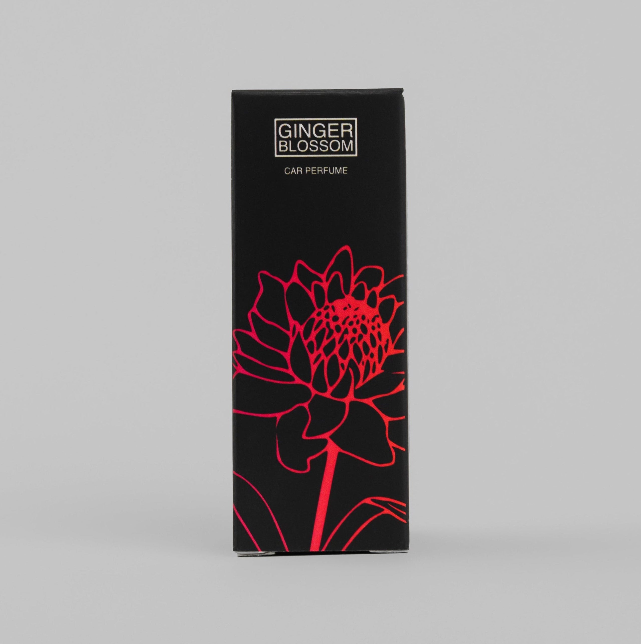 Parfum auto Pro Clean